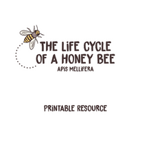 Load image into Gallery viewer, Life Cycle of the Honey Bee - Downloadable - Seeds for Tomorrow 