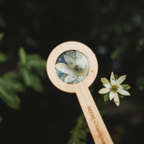 Bamboo Magnifying Glass - Seeds for Tomorrow 