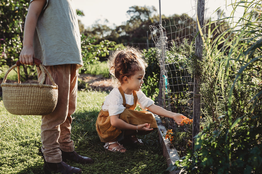 Gardening as a tool to support positive mental health in children