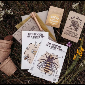 Life Cycle of the Honey Bee - Downloadable - Seeds for Tomorrow 