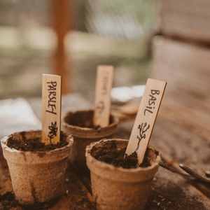 Bamboo Plant Labels - Seeds for Tomorrow 