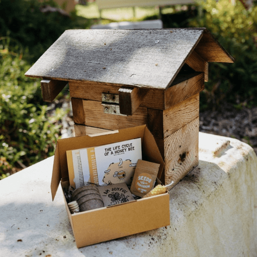 Bee the Change - Seeds for Tomorrow 