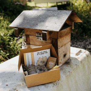 Bee the Change - Seeds for Tomorrow 