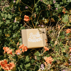 Bee the Change - Seeds for Tomorrow 