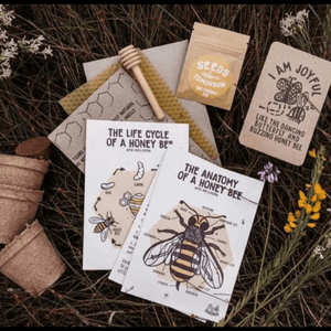 Bee the Change - Seeds for Tomorrow 